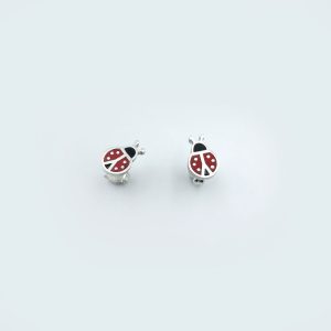 Coccinella septempunctata (πασχαλίτσα)